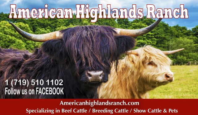 American Highlands Ranch