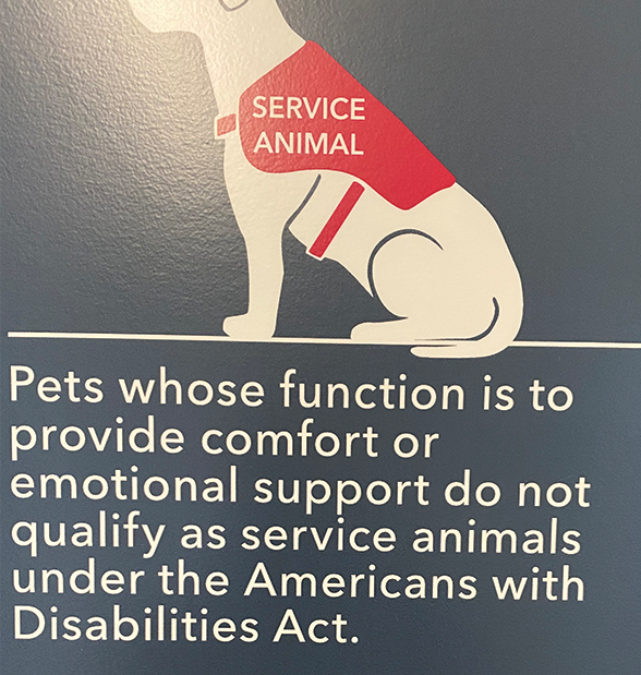 Service Animal